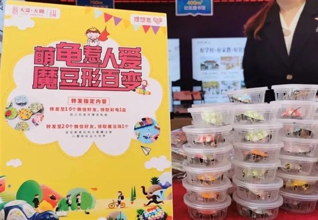 点击查看原图
