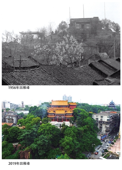 点击查看原图