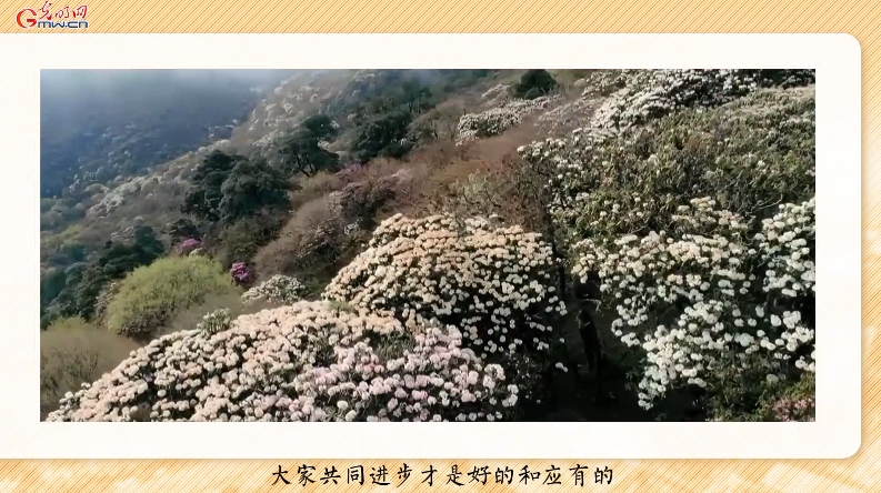 点击查看原图