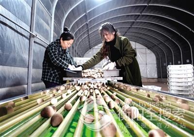 点击查看原图