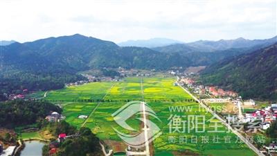 点击查看原图